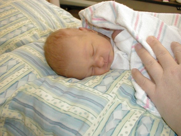 Annabelle on a pillow in her mother's hospital room.